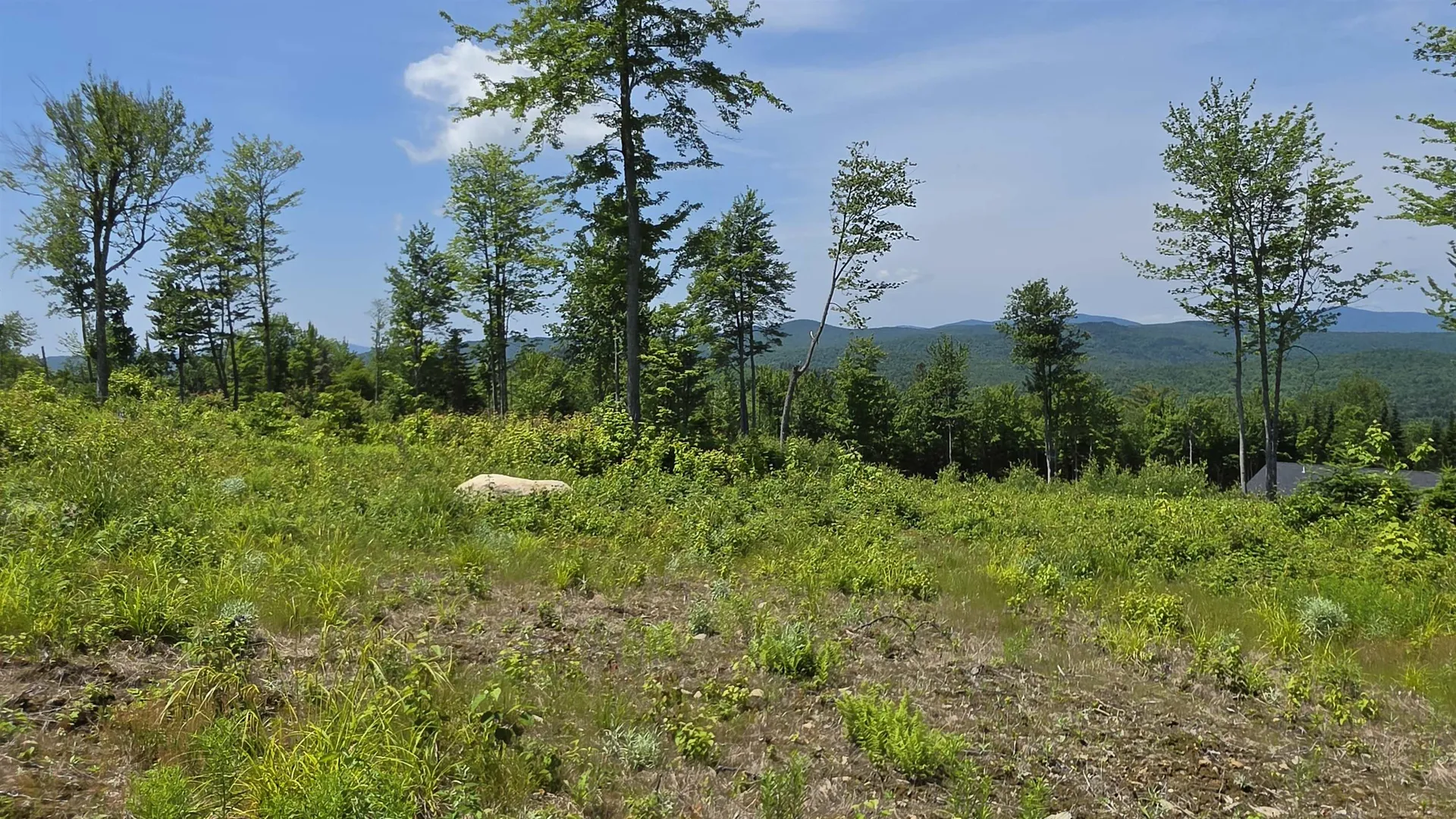 Map R6 Lot 1c Deer Crossing Way Errol NH 03579