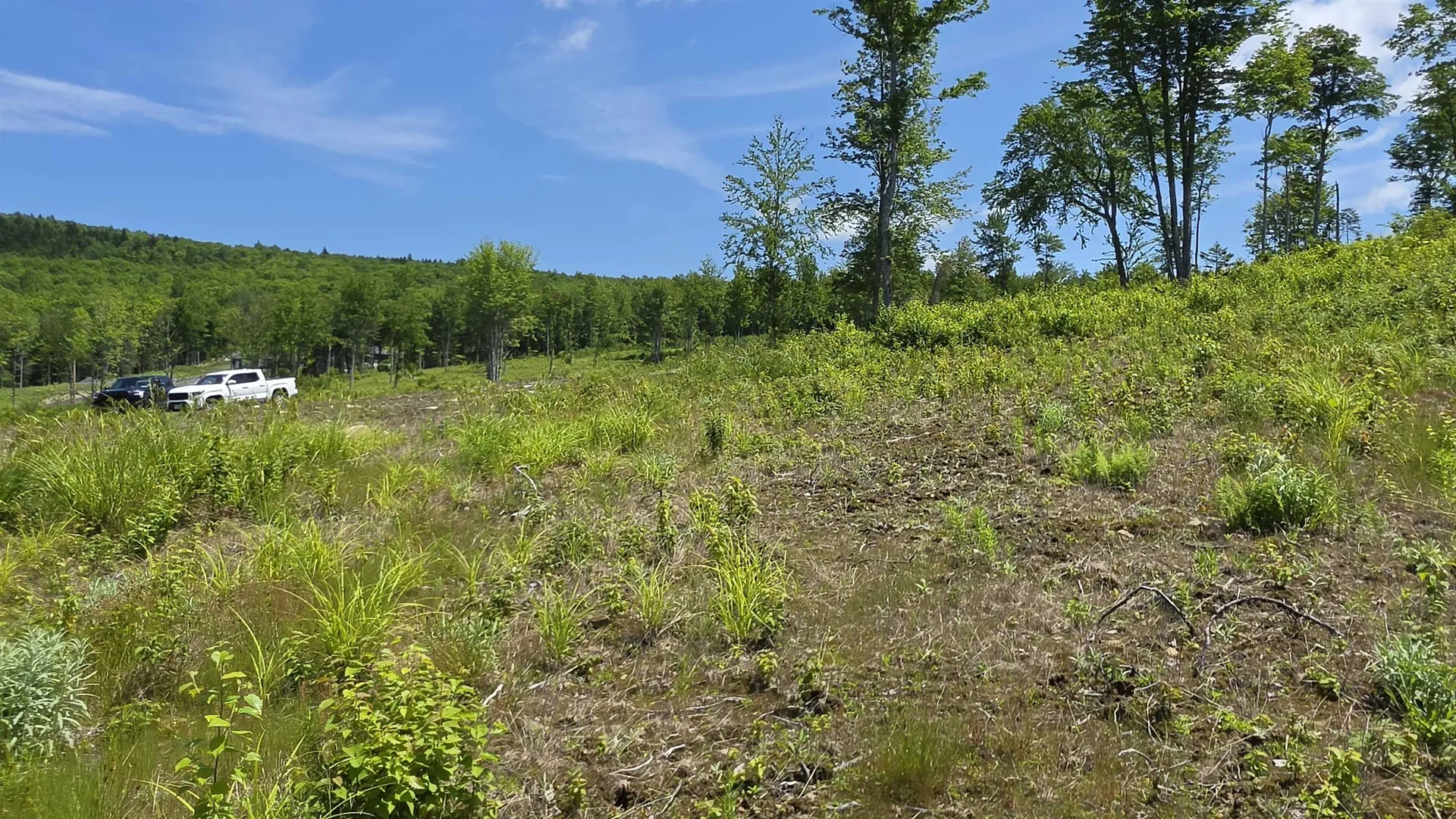 Map R6 Lot 1c Deer Crossing Way Errol NH 03579