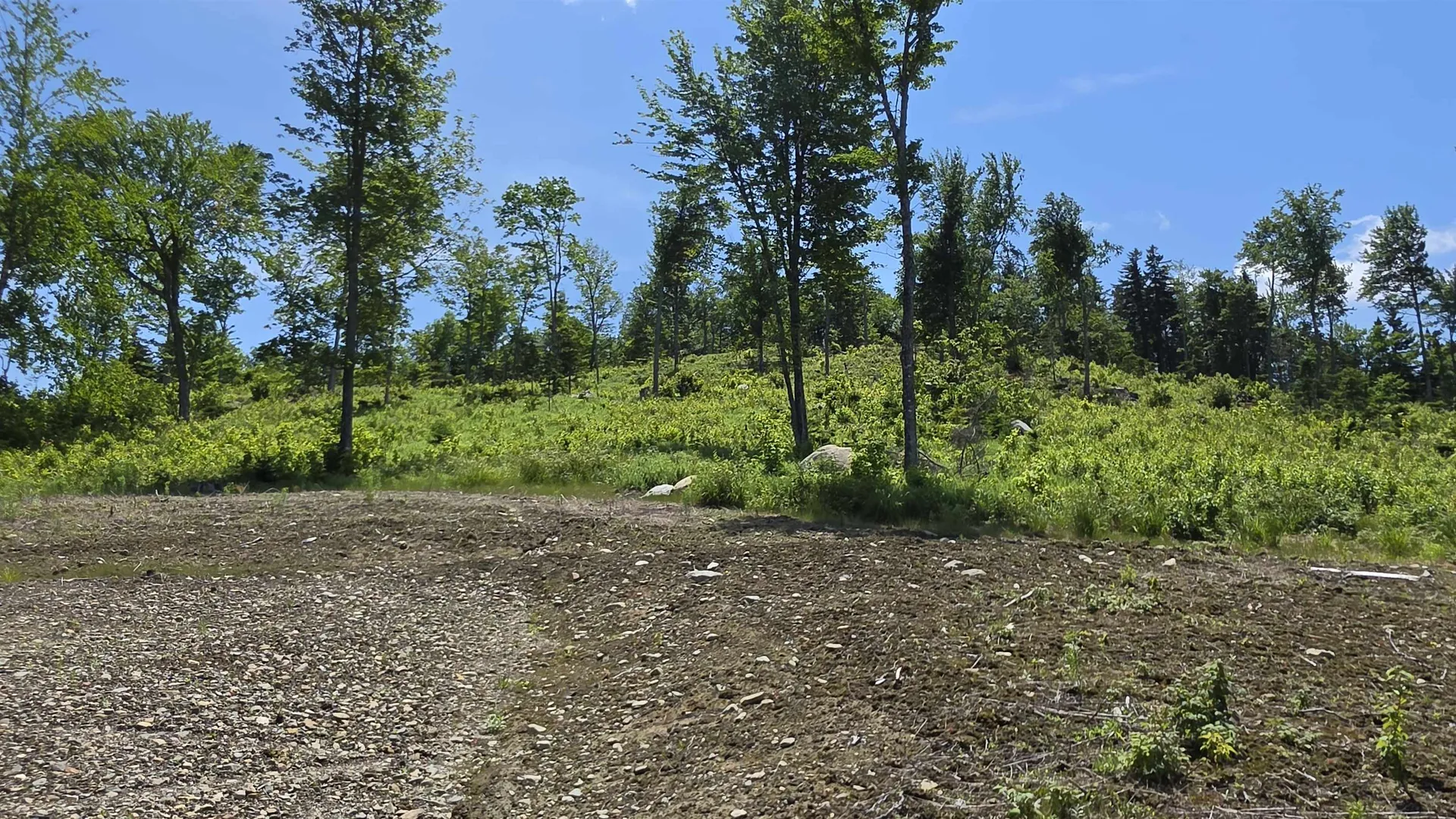 Map R6 Lot 1c Deer Crossing Way Errol NH 03579