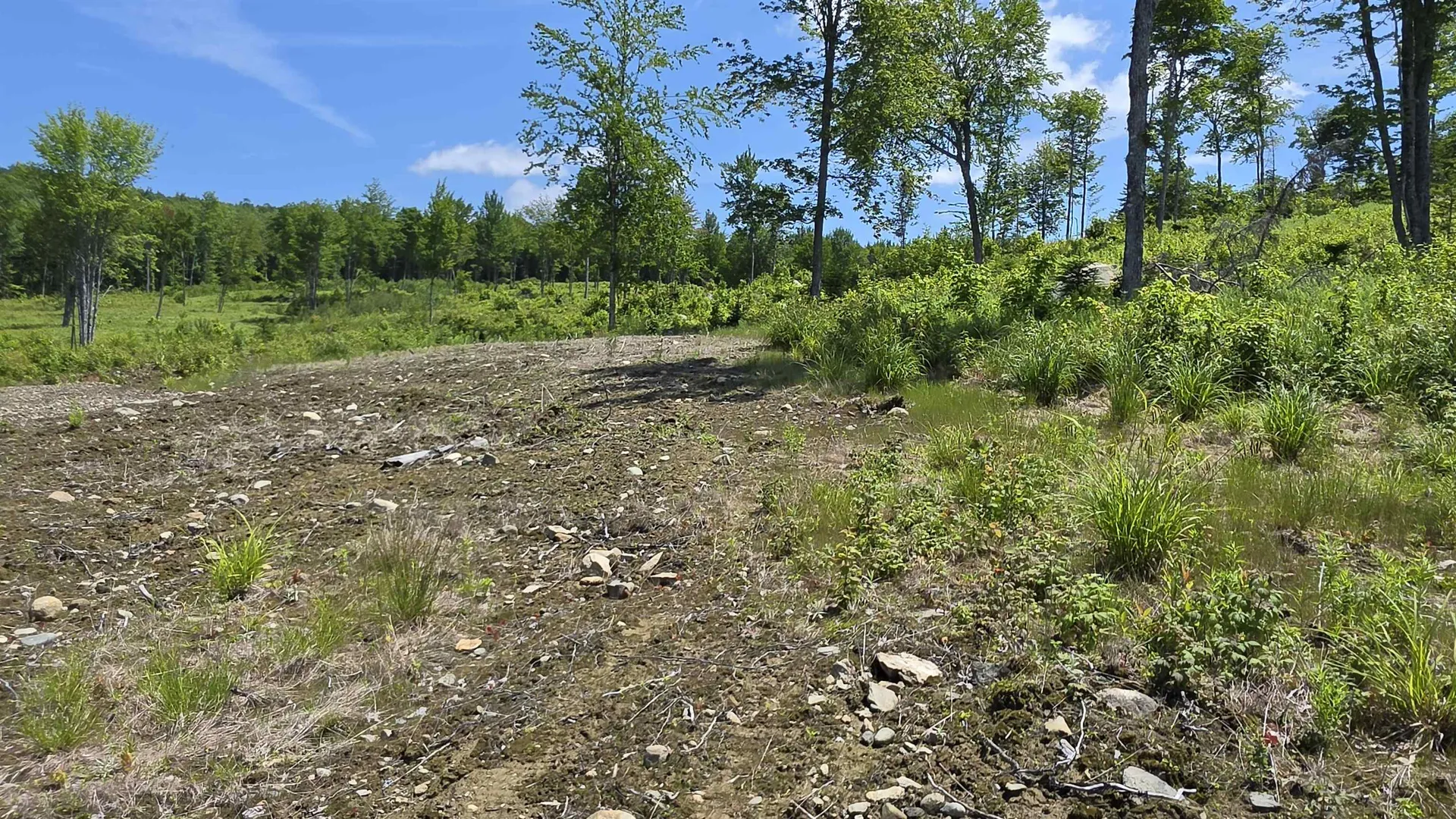 Map R6 Lot 1c Deer Crossing Way Errol NH 03579