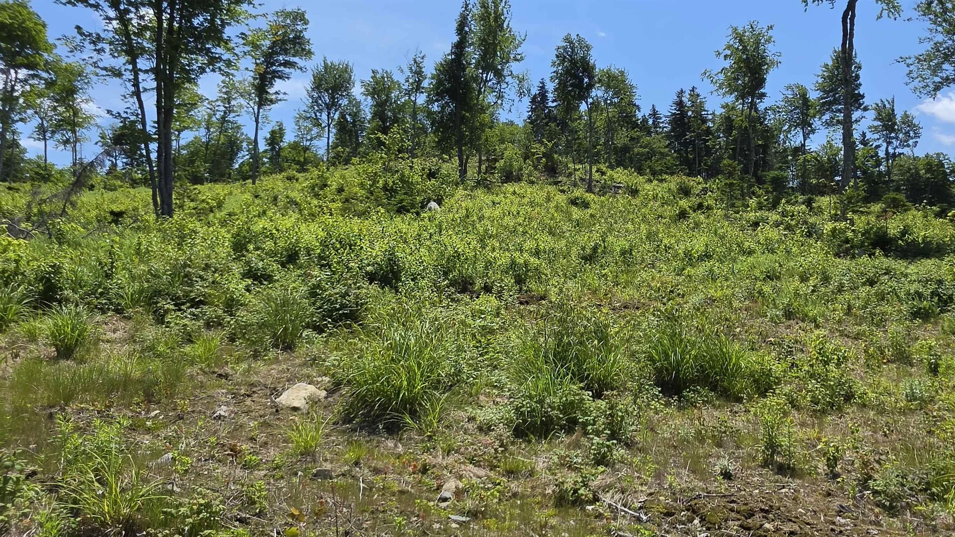 Map R6 Lot 1c Deer Crossing Way Errol NH 03579