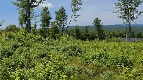 Map R6 Lot 1c Deer Crossing Way Errol NH 03579