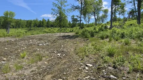 Map R6 Lot 1c Deer Crossing Way Errol NH 03579