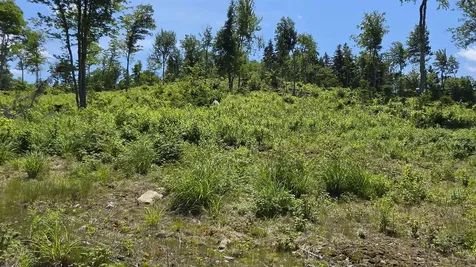 Map R6 Lot 1c Deer Crossing Way Errol NH 03579