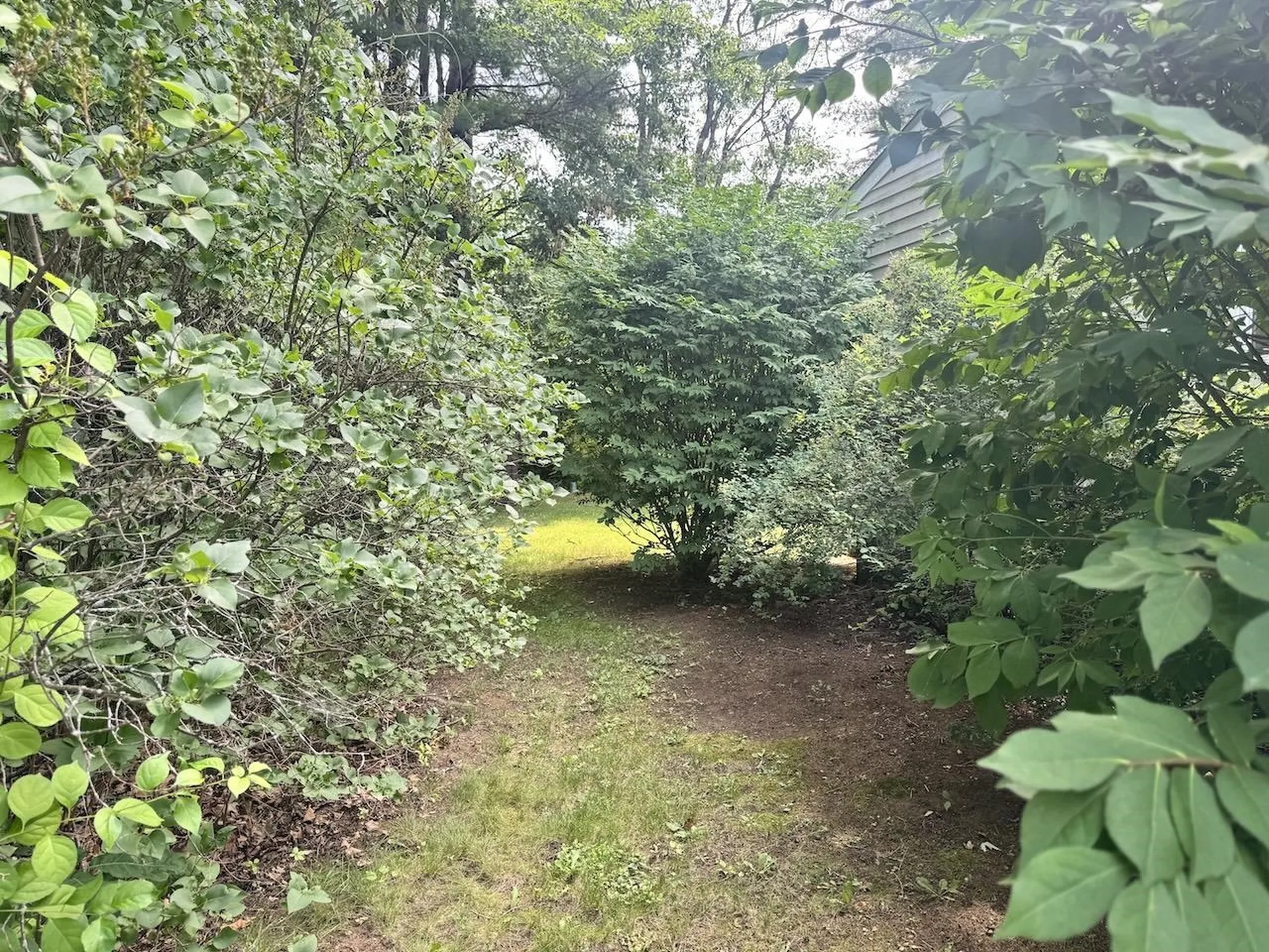 41 Park Street Swanzey NH 03431