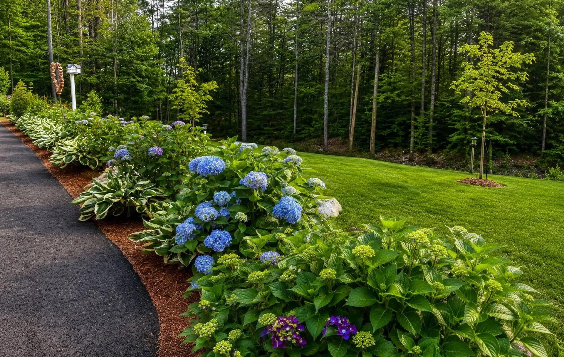 4 Dan Kelley Drive Alton NH 03810