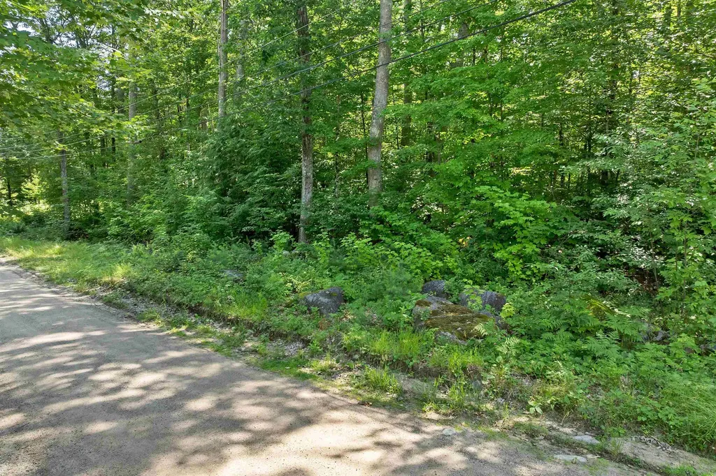 28 Geneve Street Moultonborough NH 03254