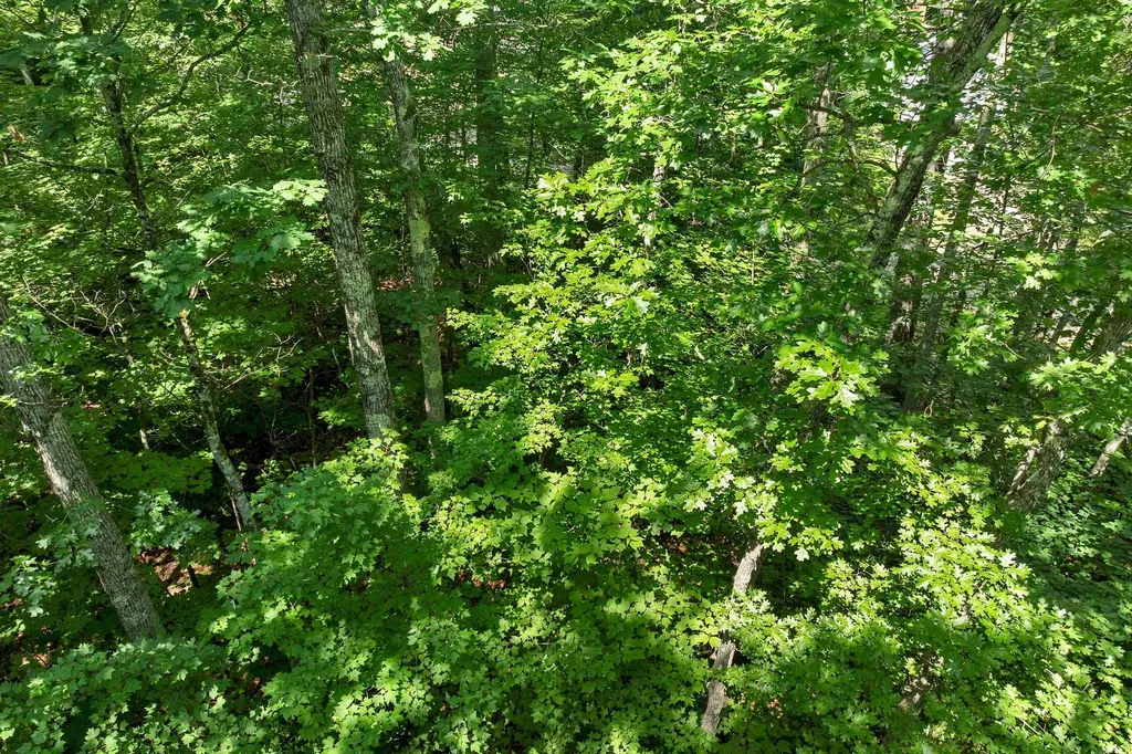 28 Geneve Street Moultonborough NH 03254