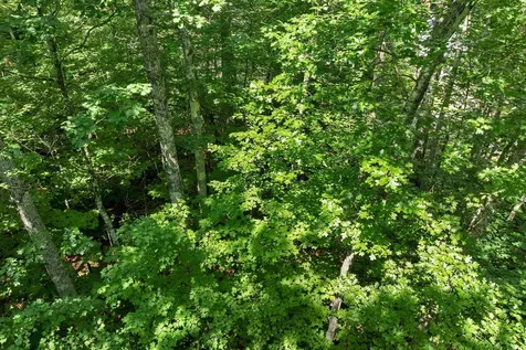 28 Geneve Street Moultonborough NH 03254