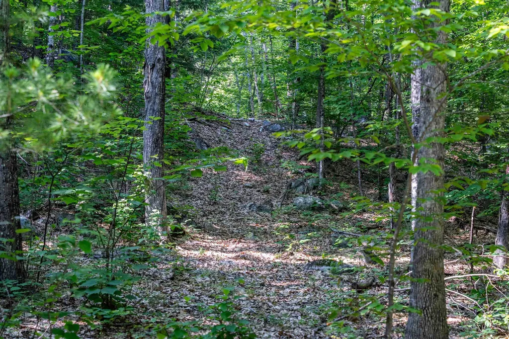 Lot 4.2 Tommy Lot Road Moultonborough NH 03254