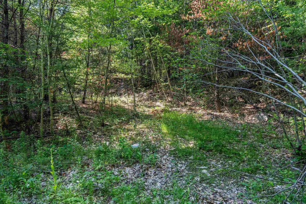 Lot 4.2 Tommy Lot Road Moultonborough NH 03254