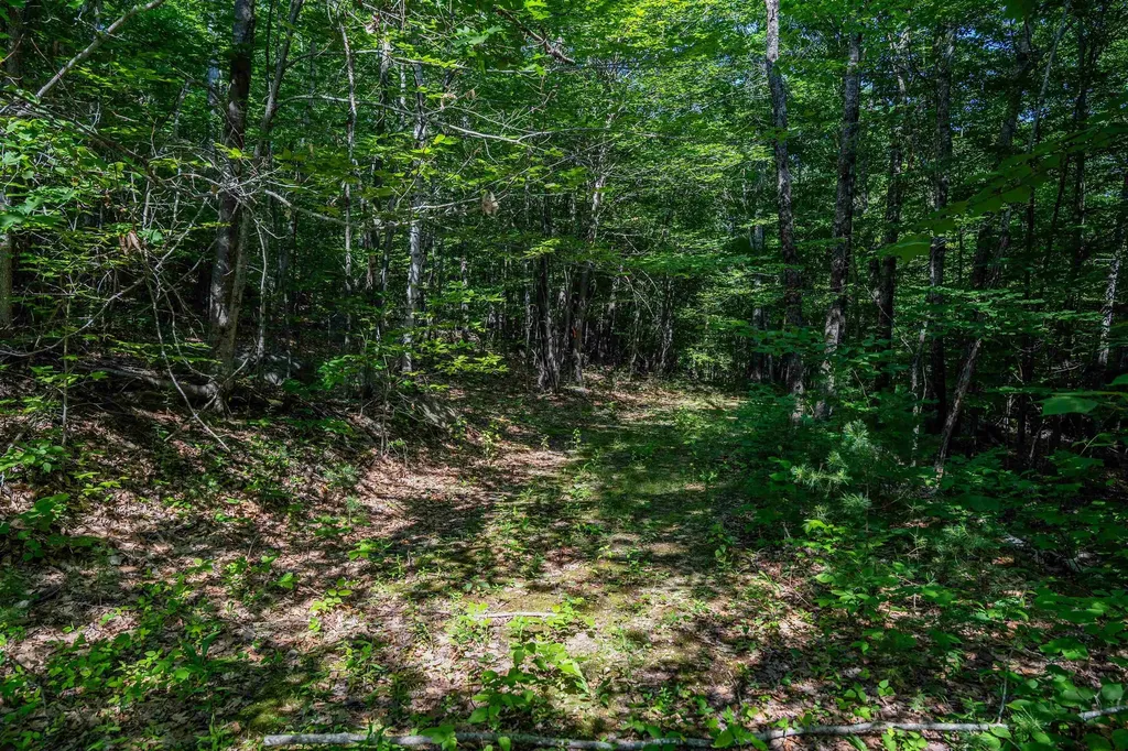 Lot 4.2 Tommy Lot Road Moultonborough NH 03254
