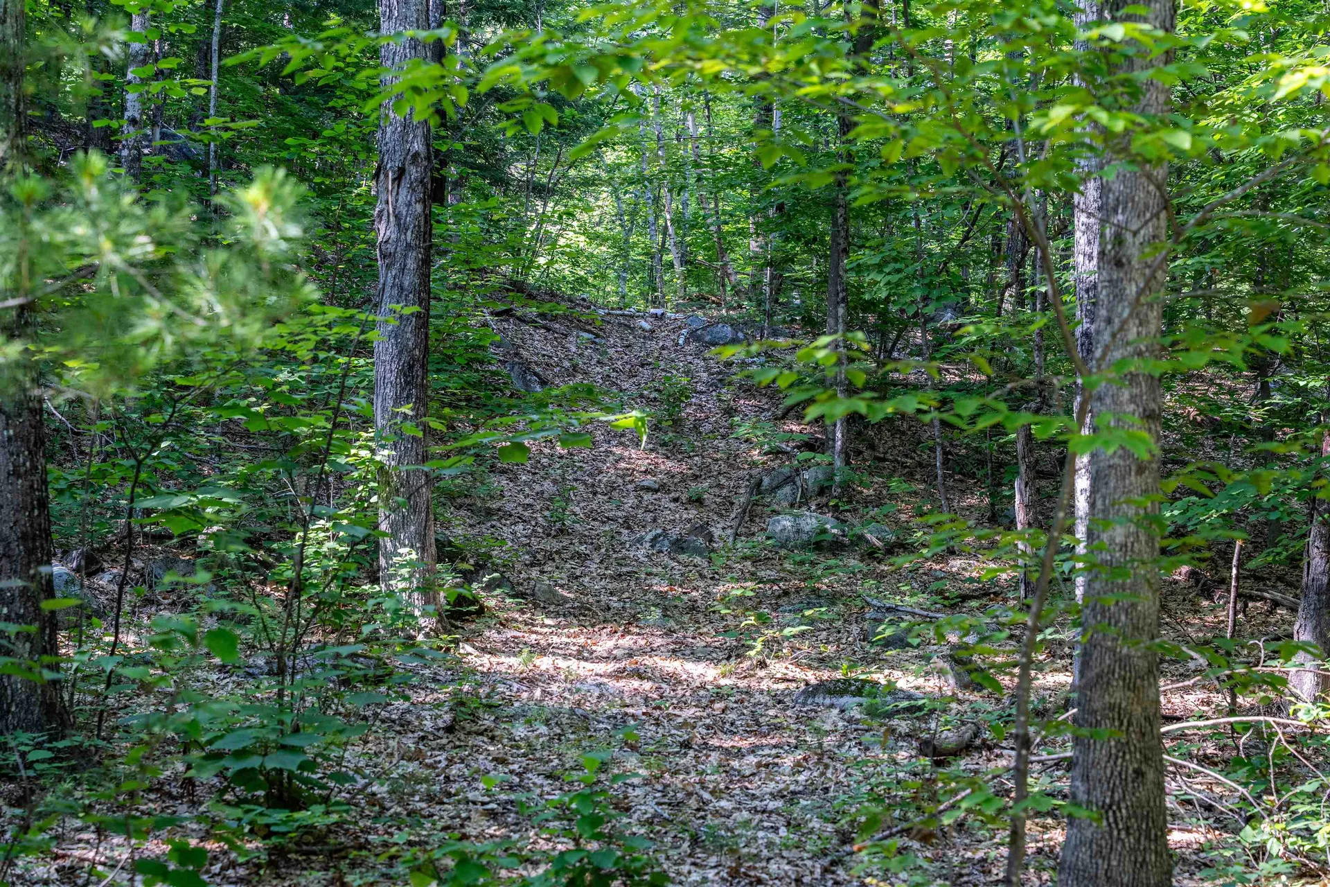 Lot 4.2 Tommy Lot Road Moultonborough NH 03254