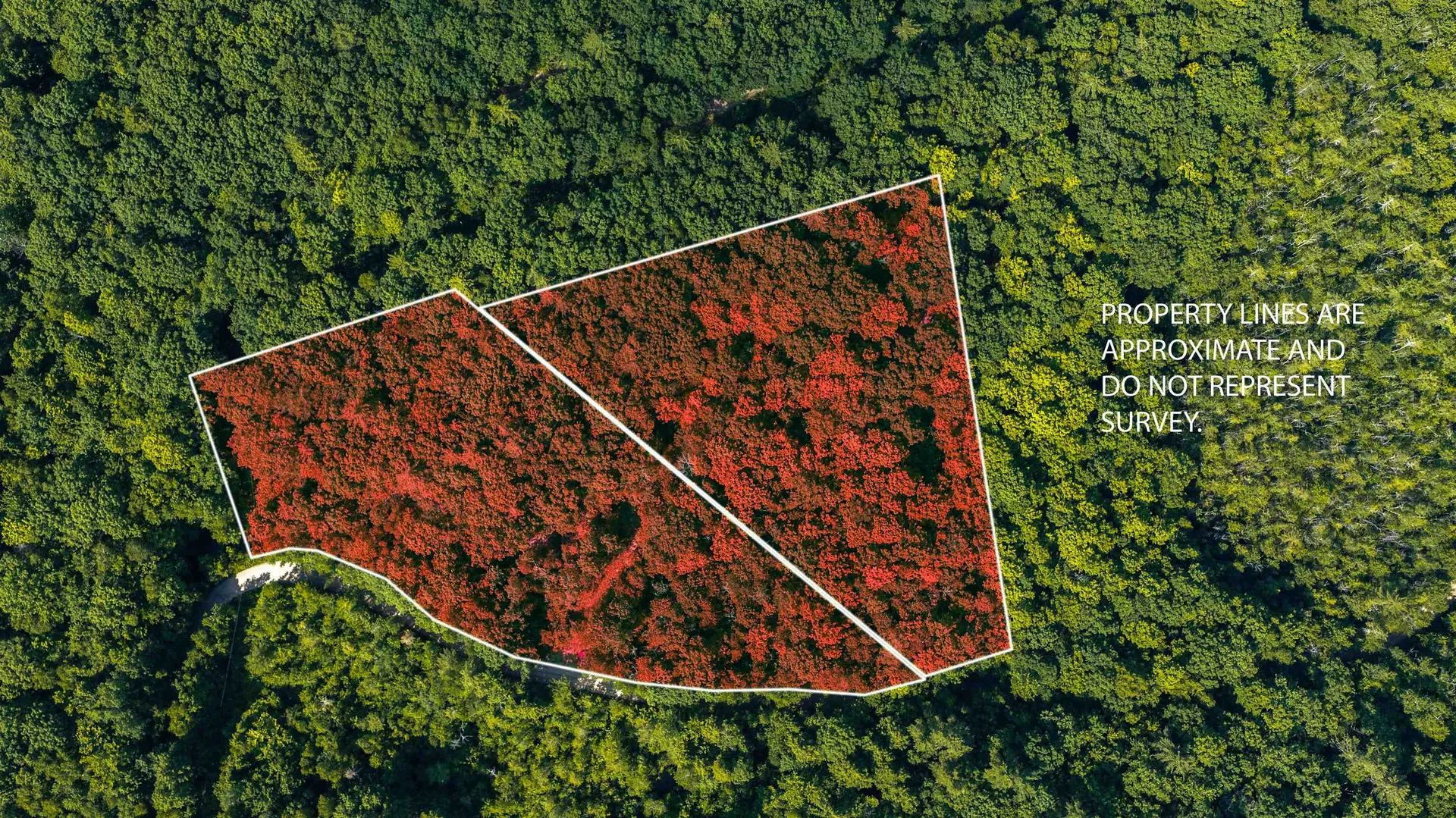 Lot 4.2 Tommy Lot Road Moultonborough NH 03254