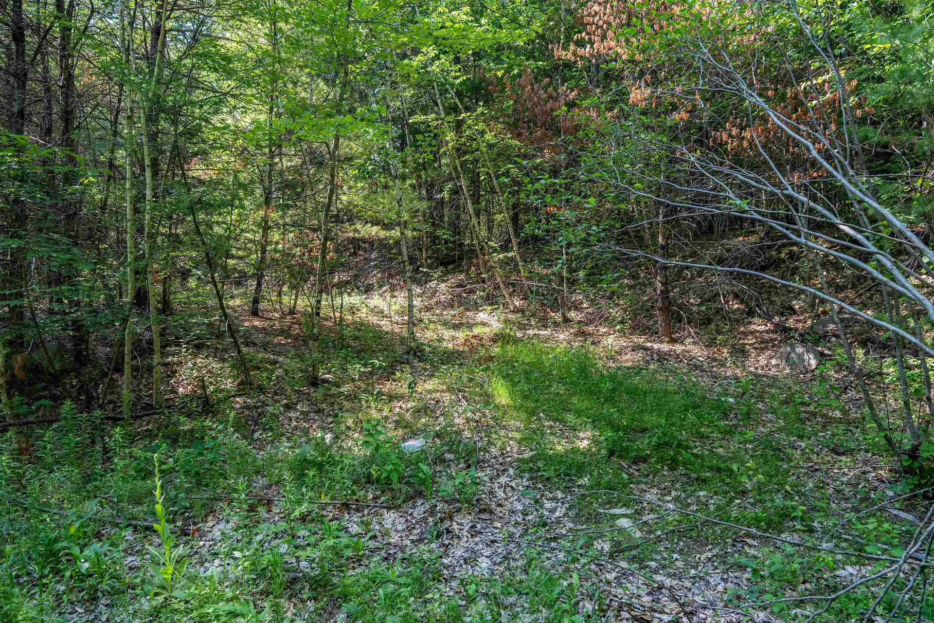 Lot 4.2 Tommy Lot Road Moultonborough NH 03254