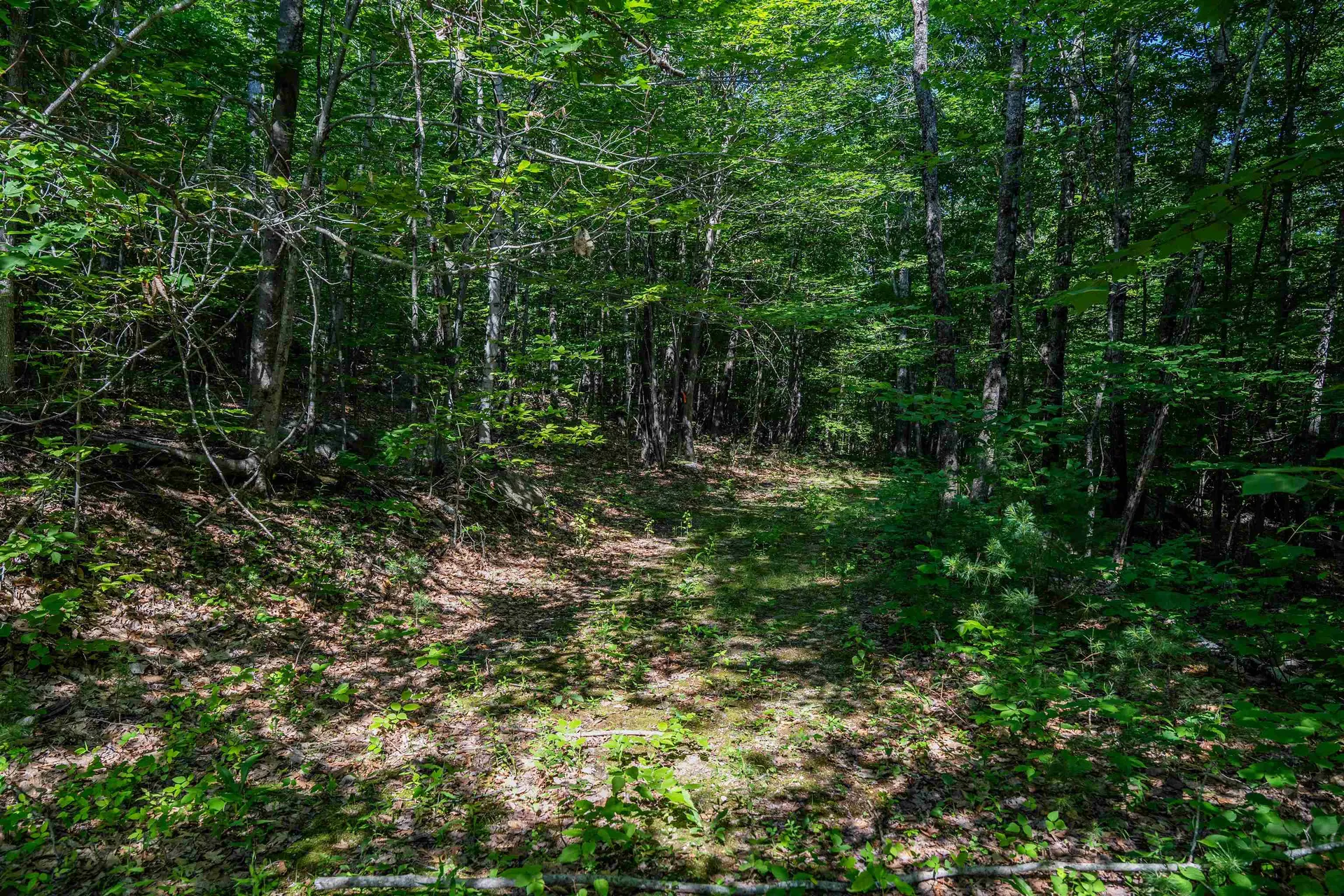 Lot 4.2 Tommy Lot Road Moultonborough NH 03254