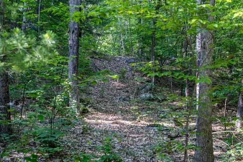 Lot 4.2 Tommy Lot Road Moultonborough NH 03254