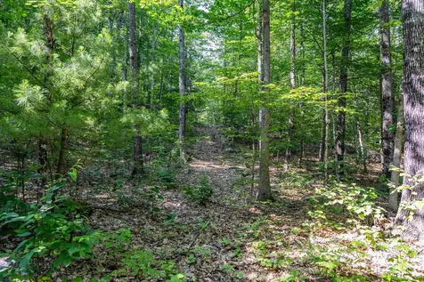 Lot 4.2 Tommy Lot Road Moultonborough NH 03254