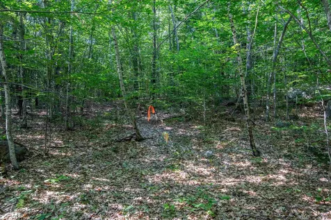 Lot 4.2 Tommy Lot Road Moultonborough NH 03254