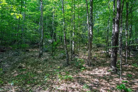 Lot 4.2 Tommy Lot Road Moultonborough NH 03254