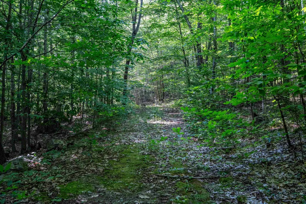 Lot 4.1 Tommy Lot Road Moultonborough NH 03254