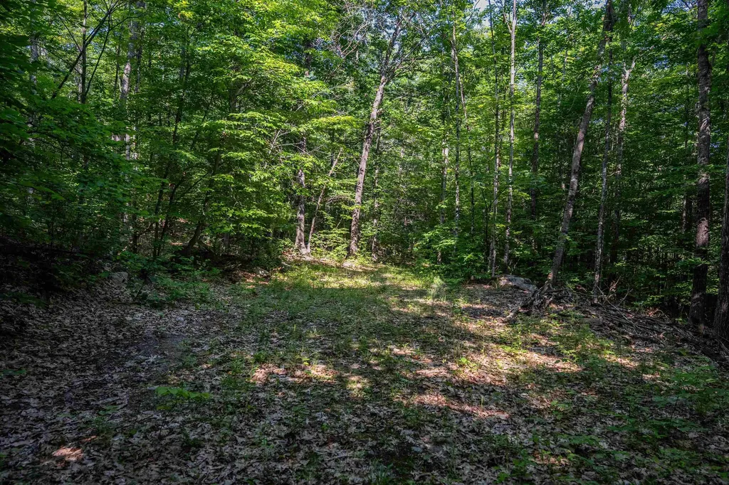 Lot 4.1 Tommy Lot Road Moultonborough NH 03254