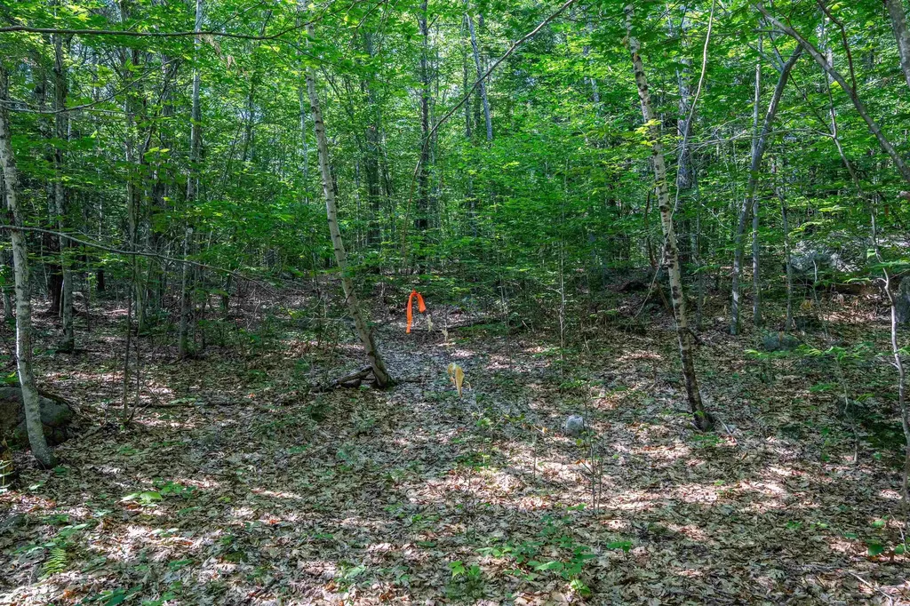 Lot 4.1 Tommy Lot Road Moultonborough NH 03254