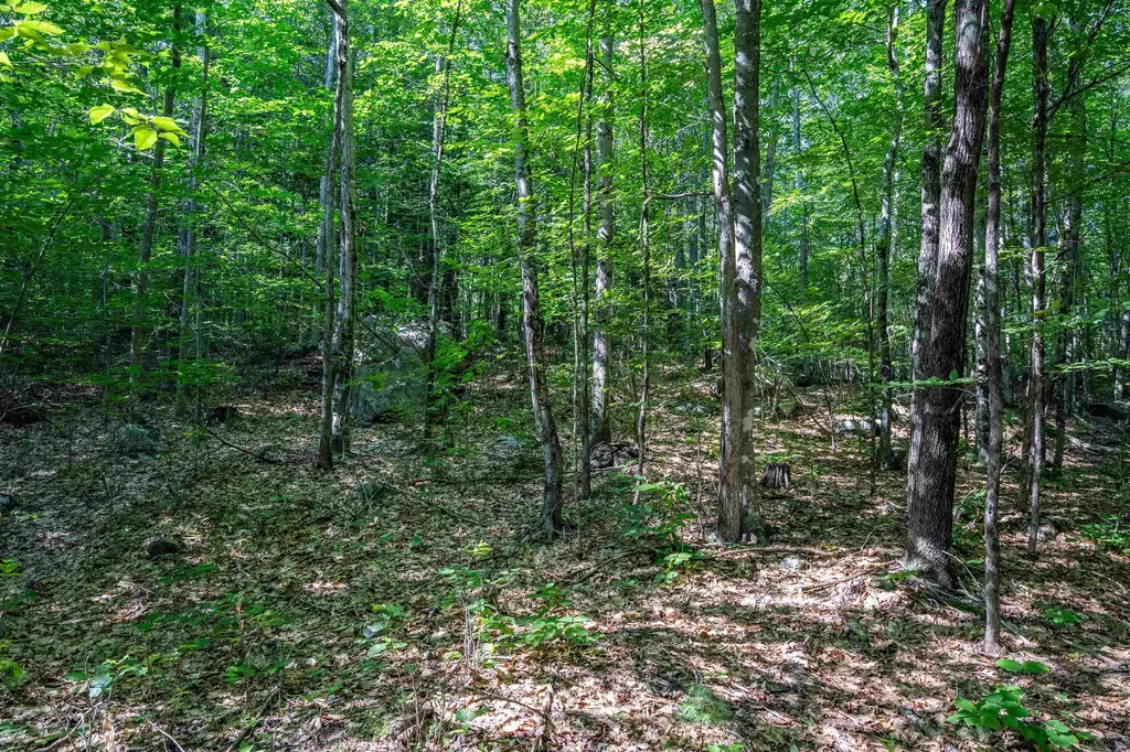 Lot 4.1 Tommy Lot Road Moultonborough NH 03254