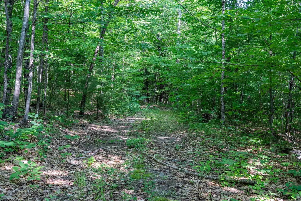 Lot 4.1 Tommy Lot Road Moultonborough NH 03254