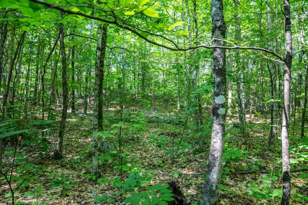 Lot 4.1 Tommy Lot Road Moultonborough NH 03254