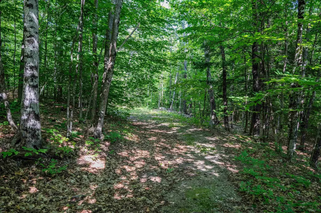 Lot 4.1 Tommy Lot Road Moultonborough NH 03254