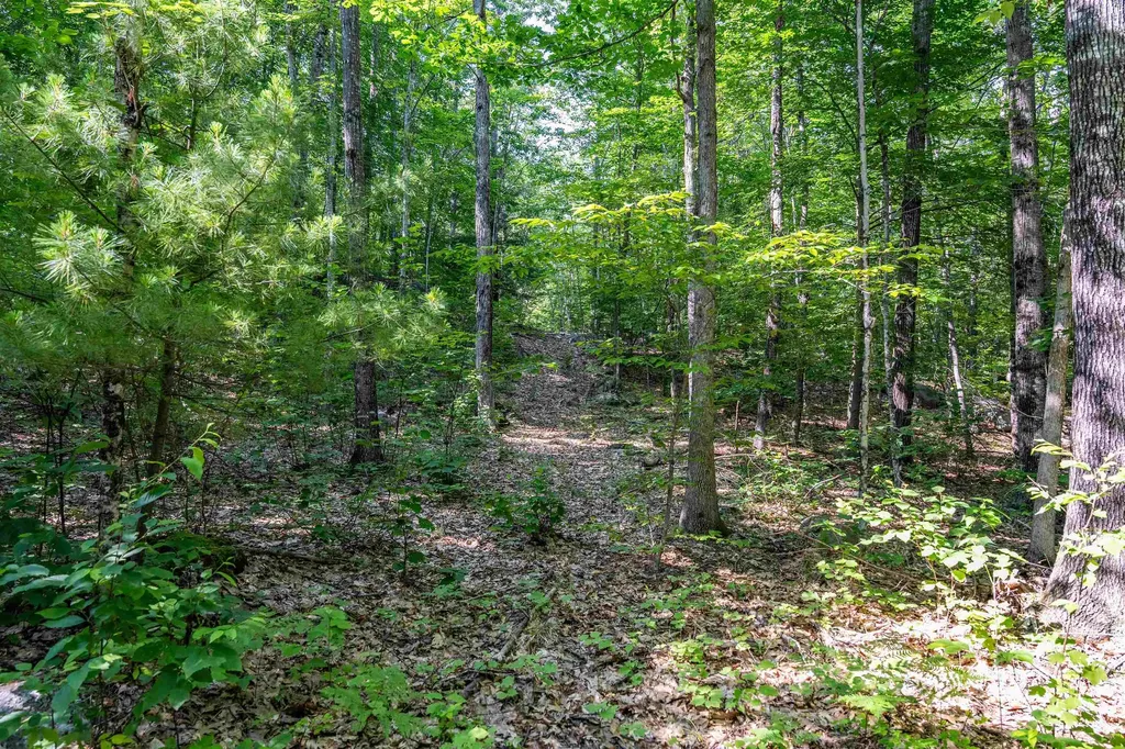 Lot 4.1 Tommy Lot Road Moultonborough NH 03254