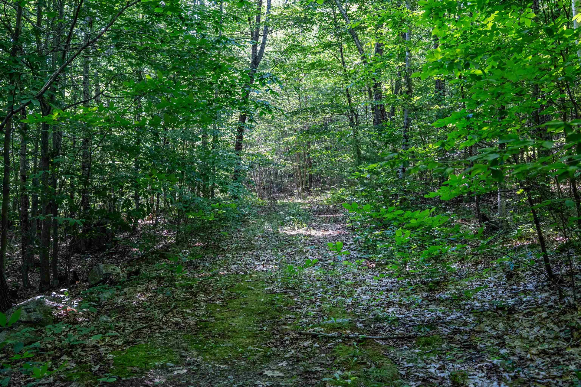 Lot 4.1 Tommy Lot Road Moultonborough NH 03254
