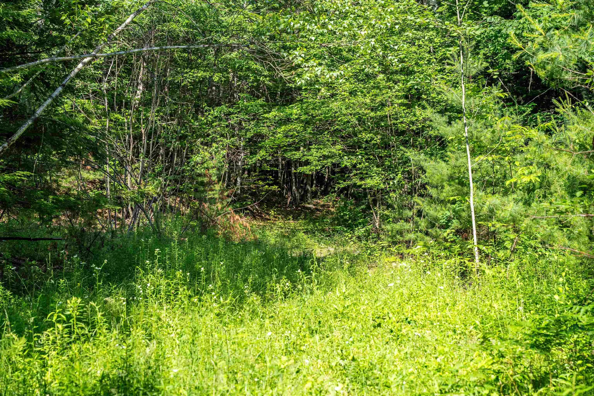 Lot 4.1 Tommy Lot Road Moultonborough NH 03254