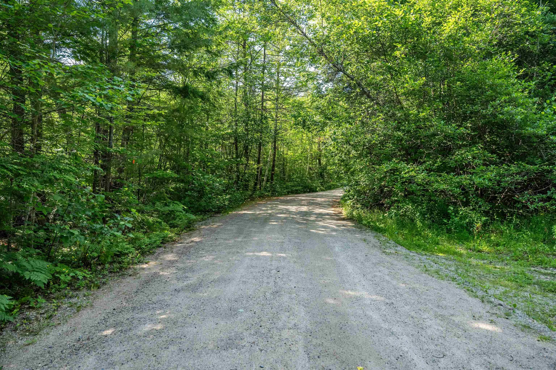 Lot 4.1 Tommy Lot Road Moultonborough NH 03254