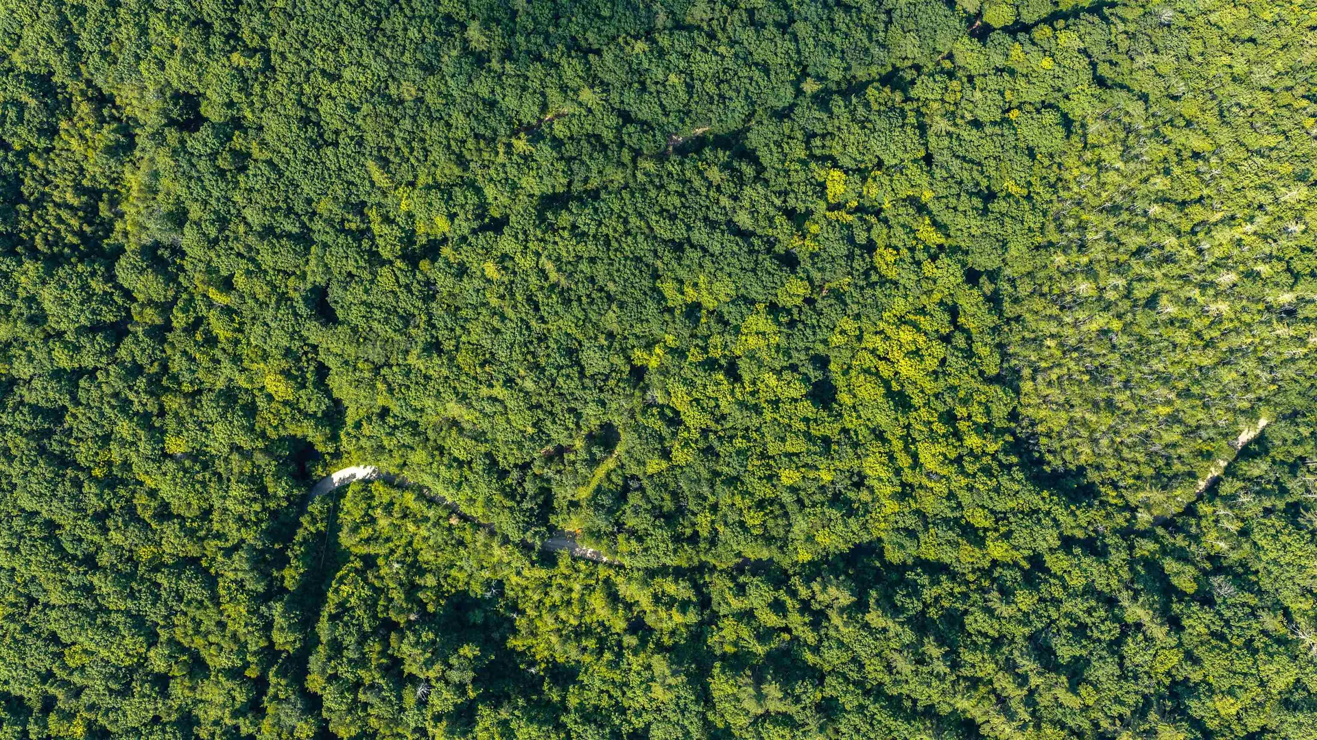 Lot 4.1 Tommy Lot Road Moultonborough NH 03254
