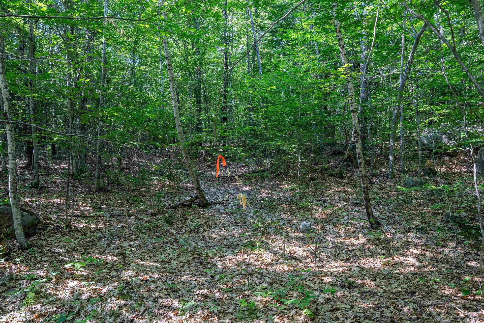 Lot 4.1 Tommy Lot Road Moultonborough NH 03254
