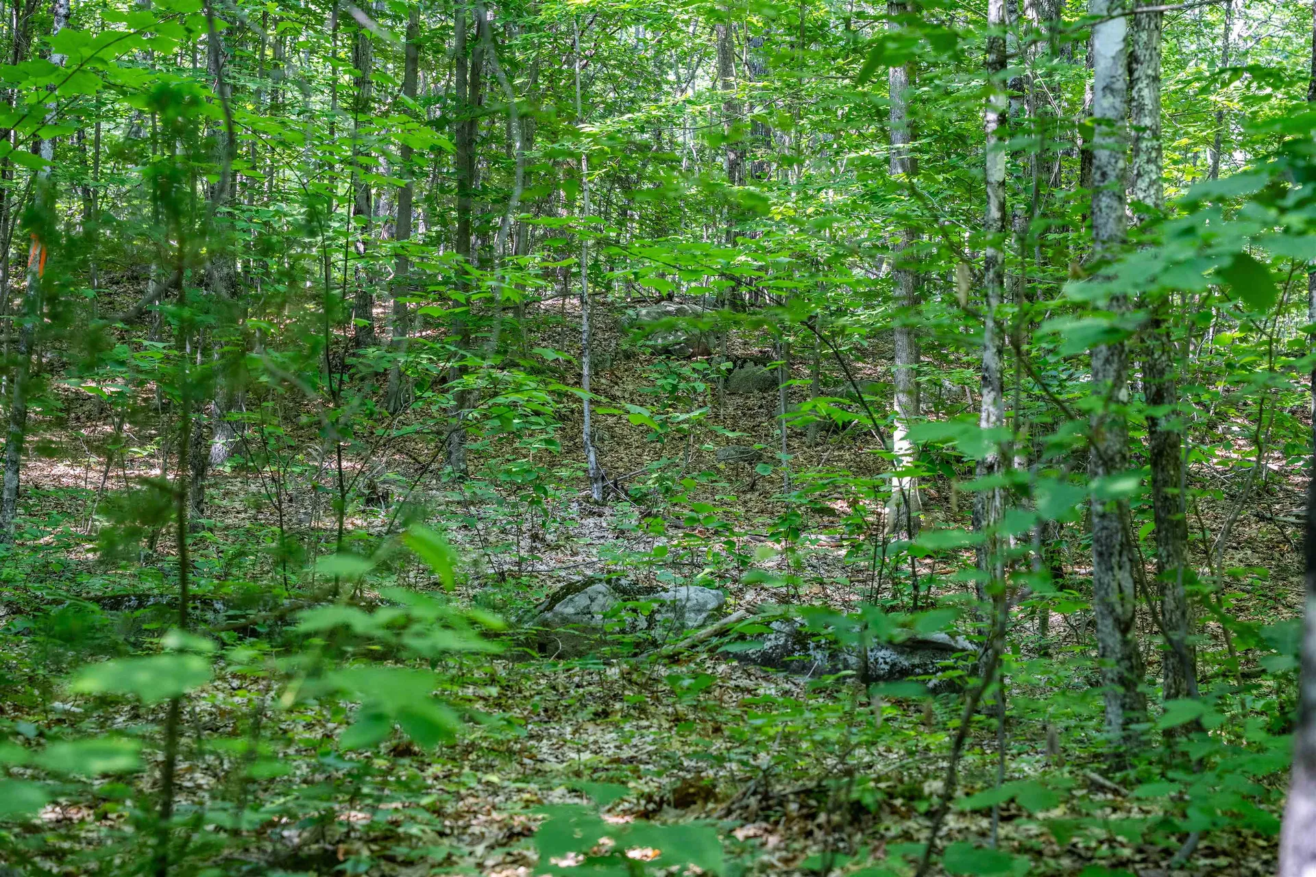 Lot 4.1 Tommy Lot Road Moultonborough NH 03254
