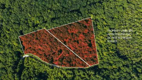 Lot 4.1 Tommy Lot Road Moultonborough NH 03254