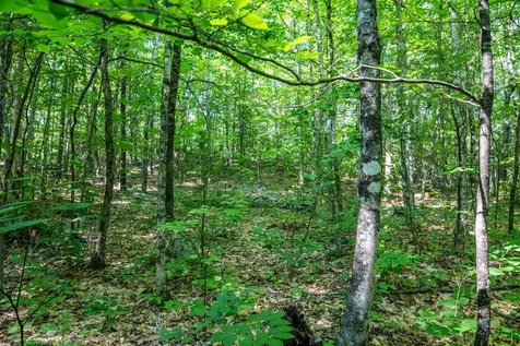 Lot 4.1 Tommy Lot Road Moultonborough NH 03254
