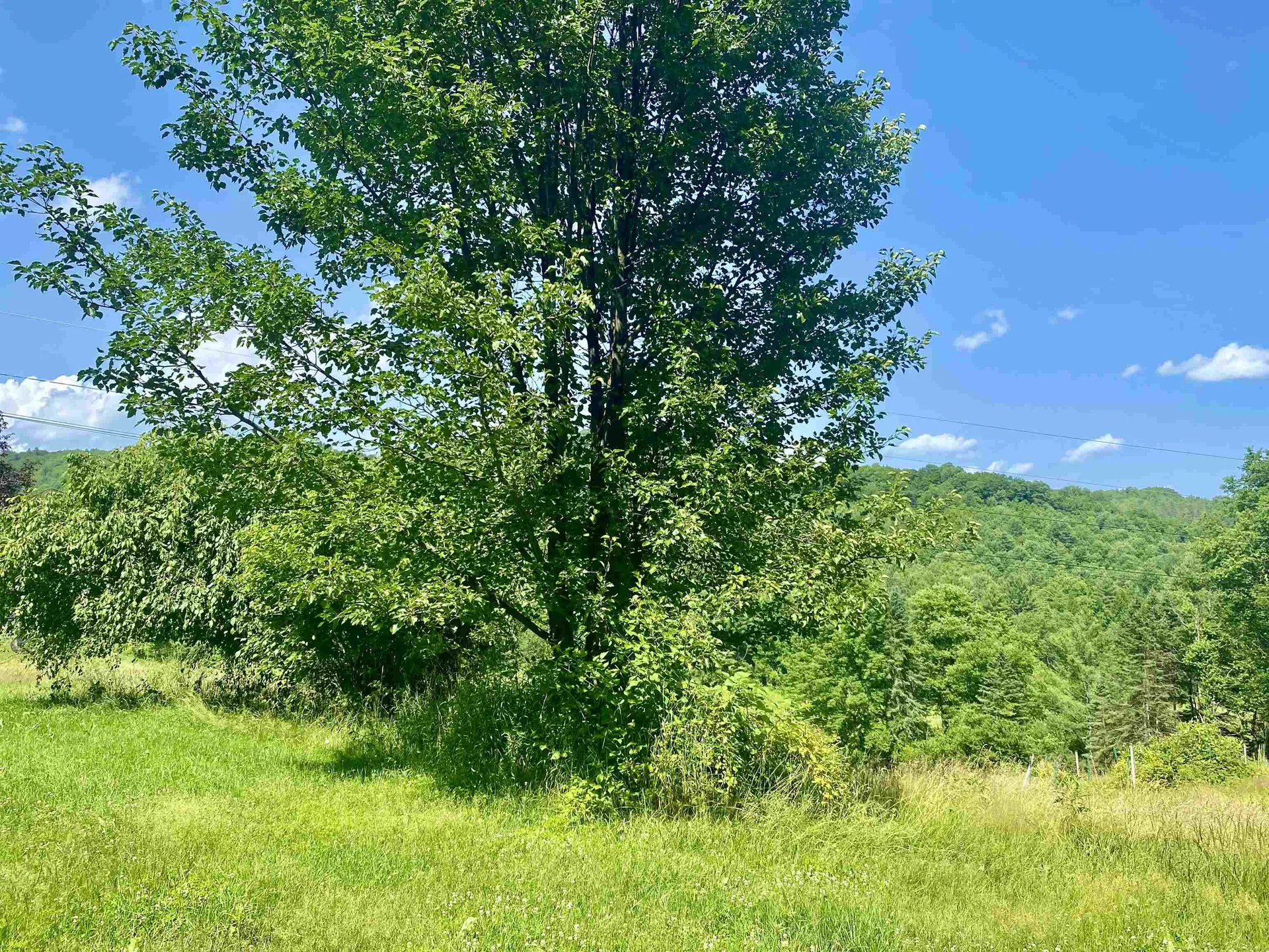 90 Limey Lane Pomfret VT 05053