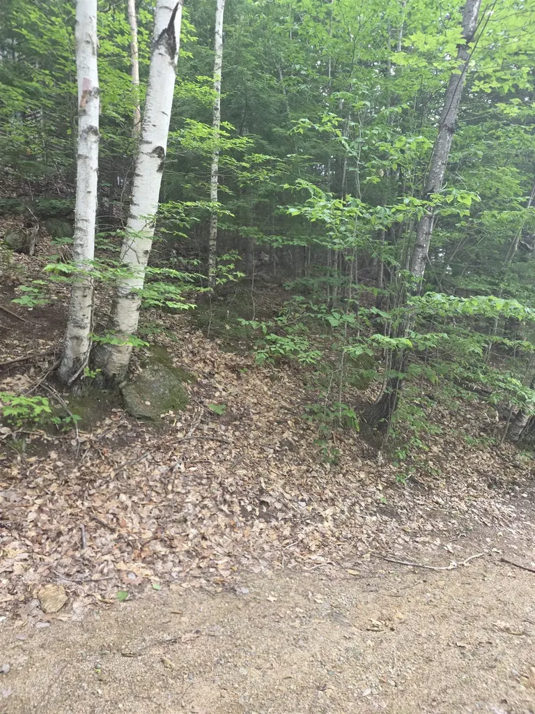 113 Bell Valley Road Campton NH 03223