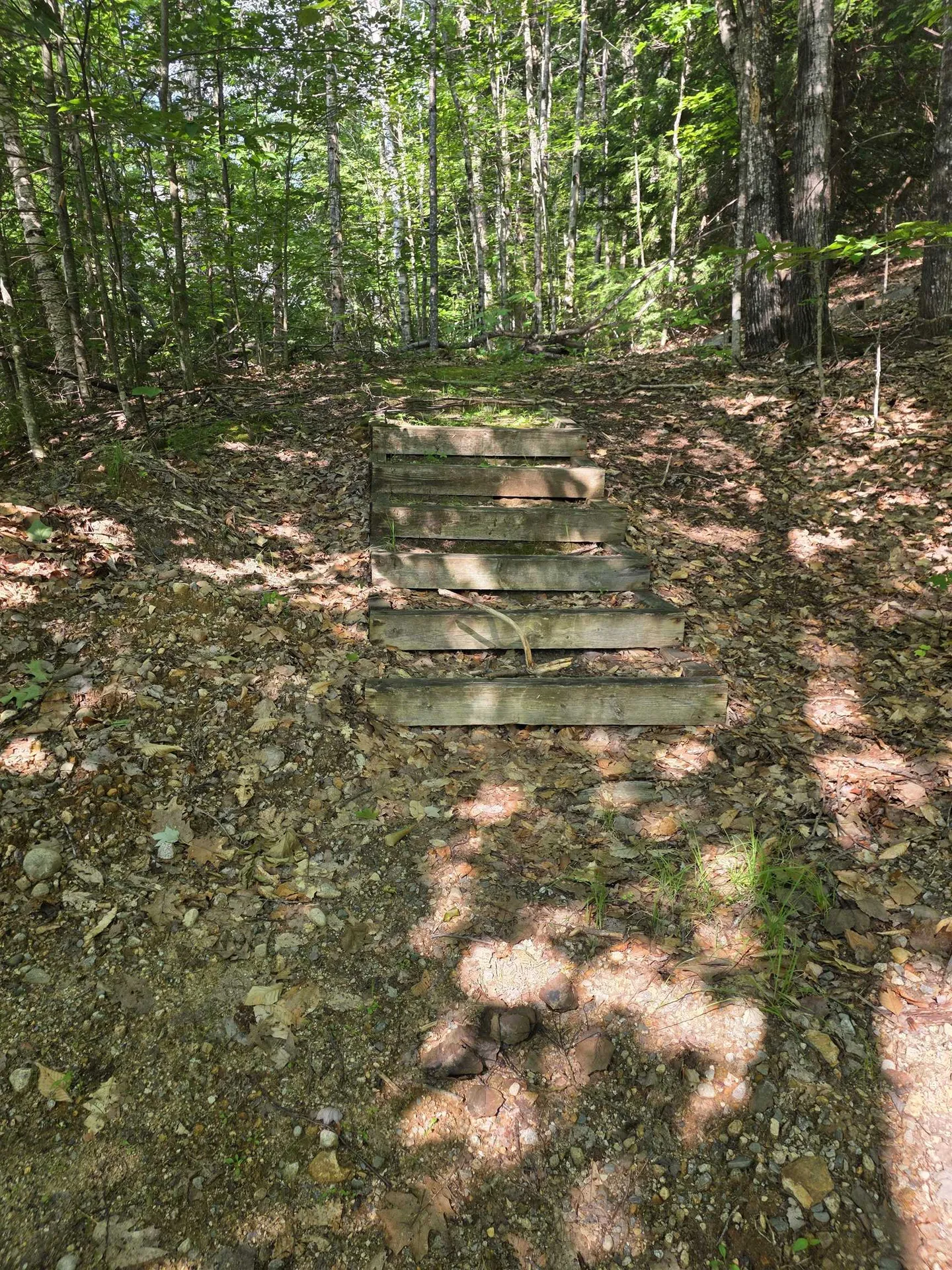 113 Bell Valley Road Campton NH 03223