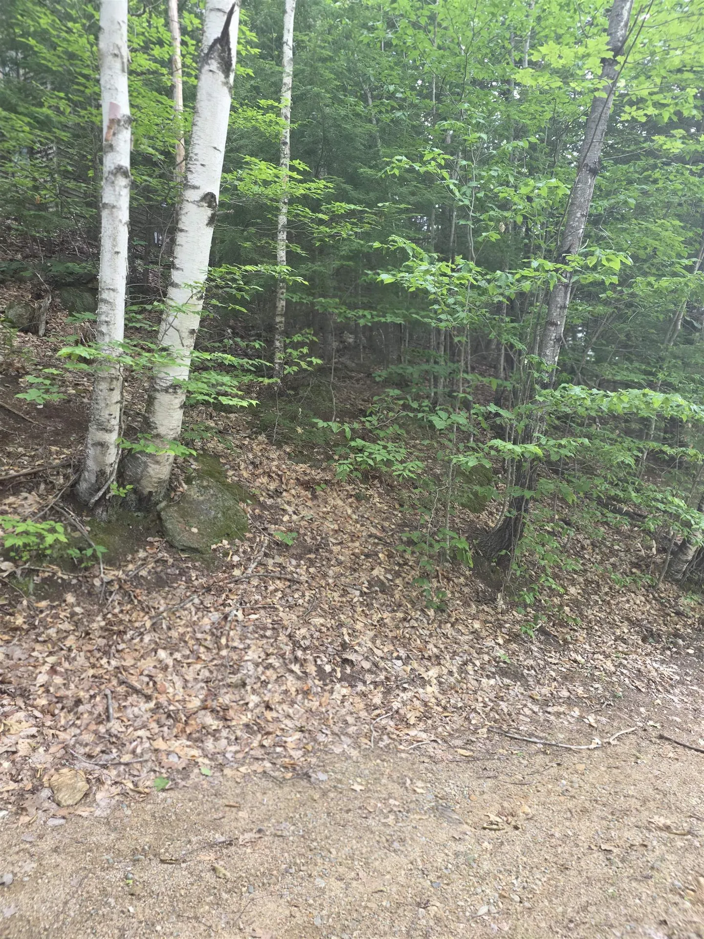 113 Bell Valley Road Campton NH 03223