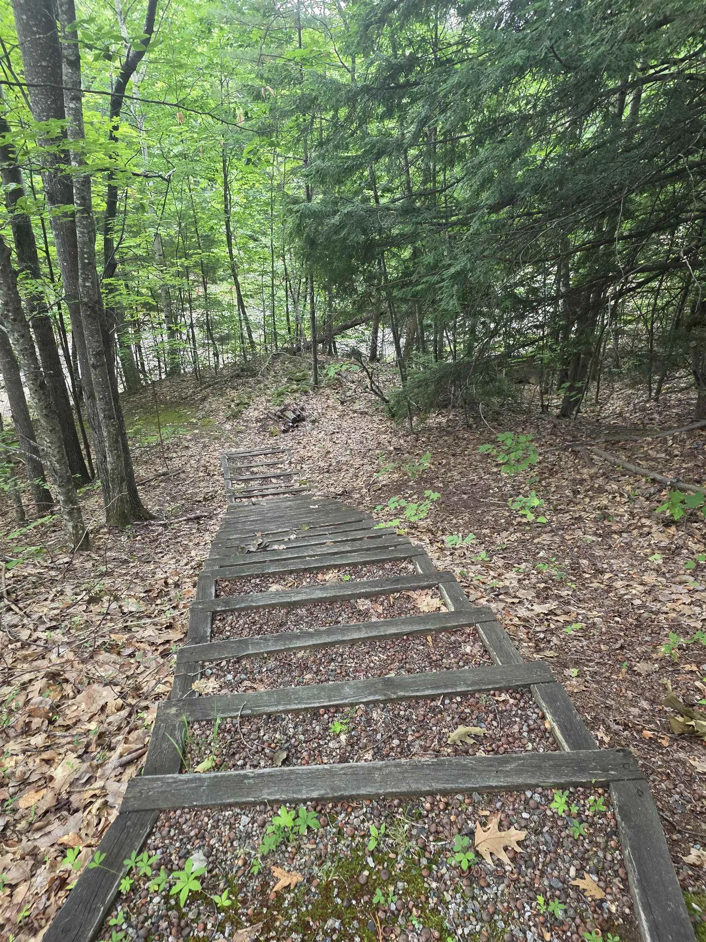 113 Bell Valley Road Campton NH 03223