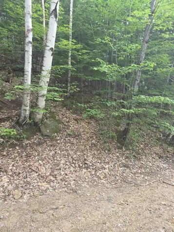 113 Bell Valley Road Campton NH 03223
