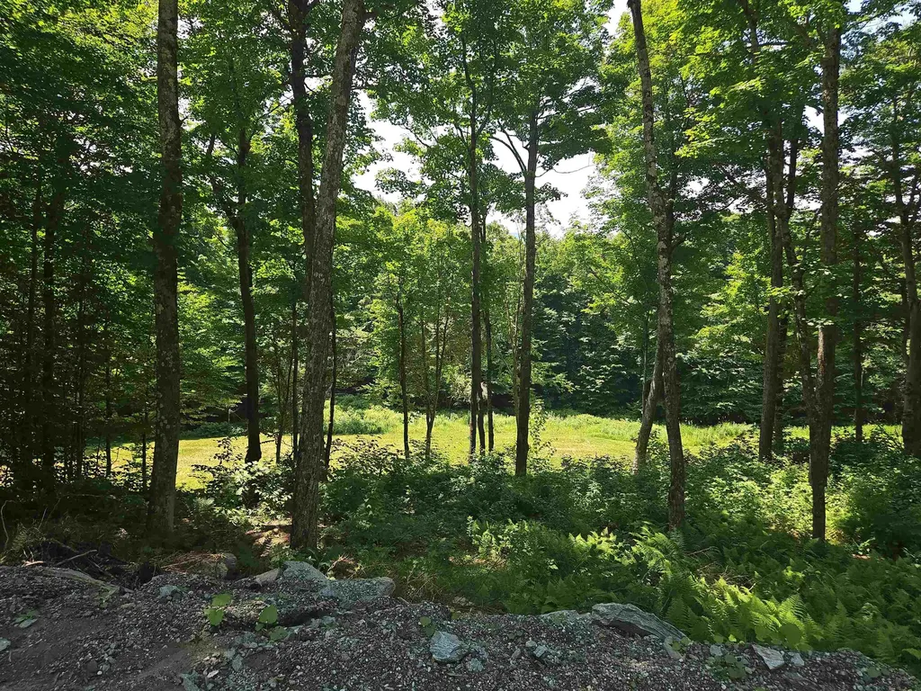 0 Sweeney Lane Cambridge VT 05464