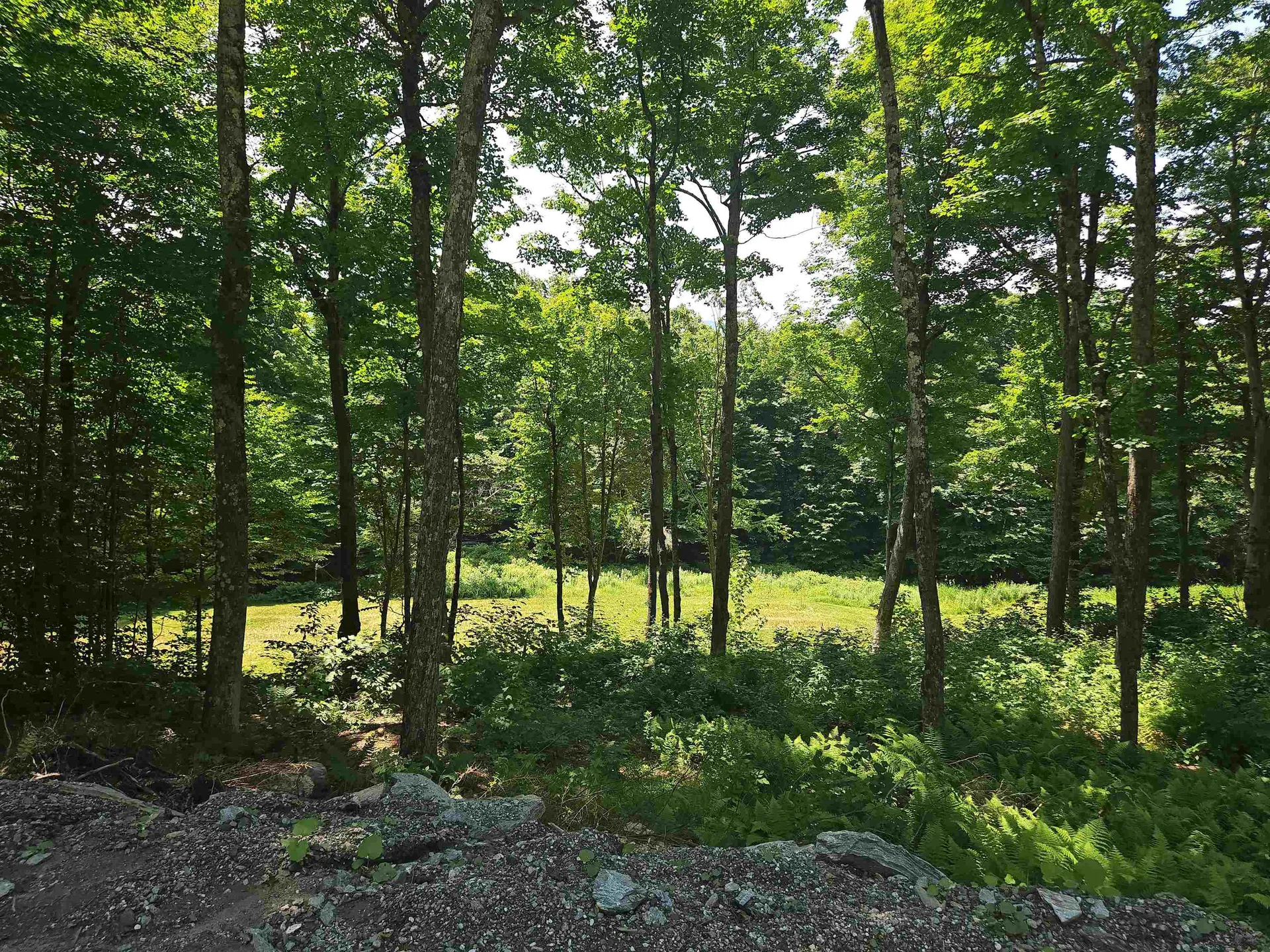 0 Sweeney Lane Cambridge VT 05464