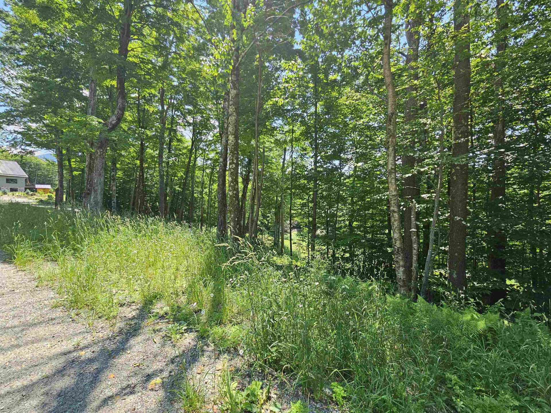 0 Sweeney Lane Cambridge VT 05464