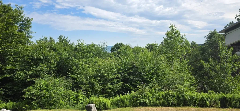 11 Ocean View Boulevard Groton NH 03241